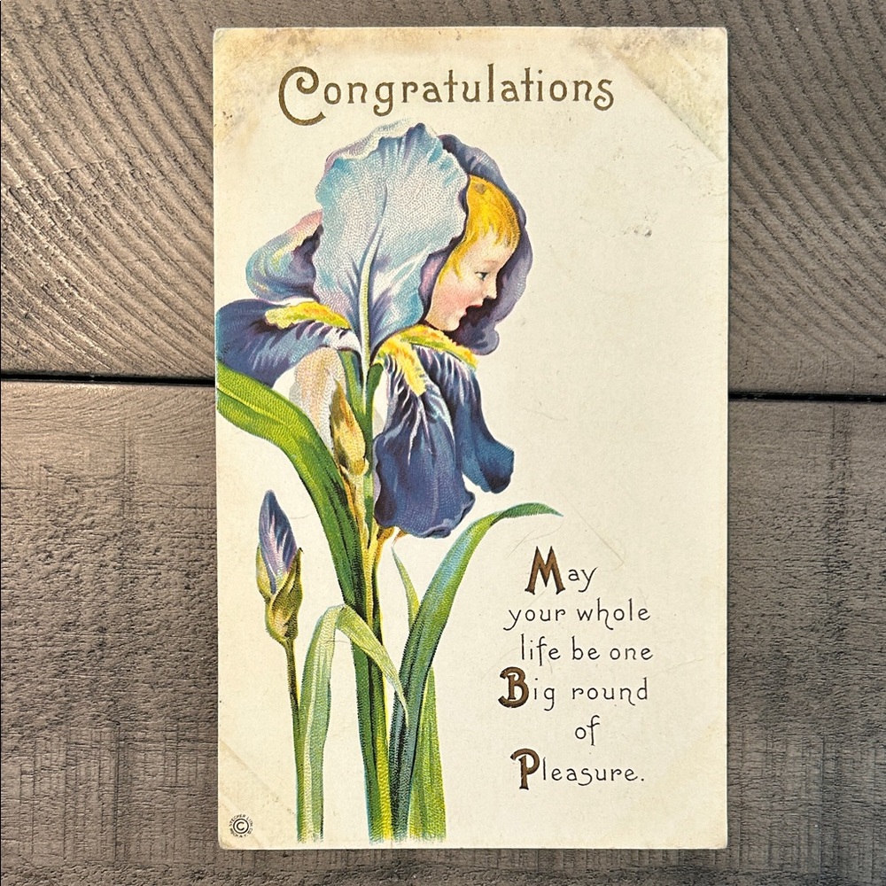 Bearded Iris Face Antique Postcard - Edwardian Birth Announcment Floral Card